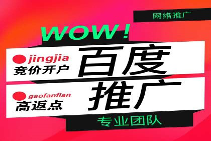 百度竞价广告投放成功案例解析